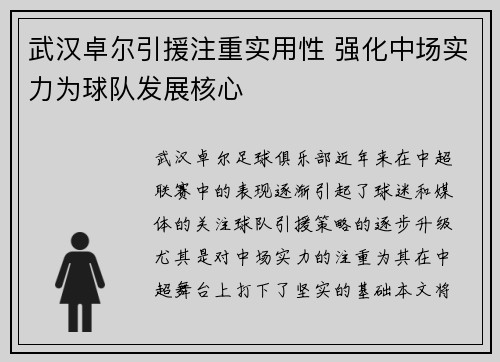 武汉卓尔引援注重实用性 强化中场实力为球队发展核心